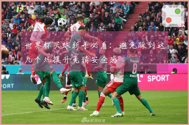 世界杯买球新手必看：避免踩到这几个坑提升竞猜安全感