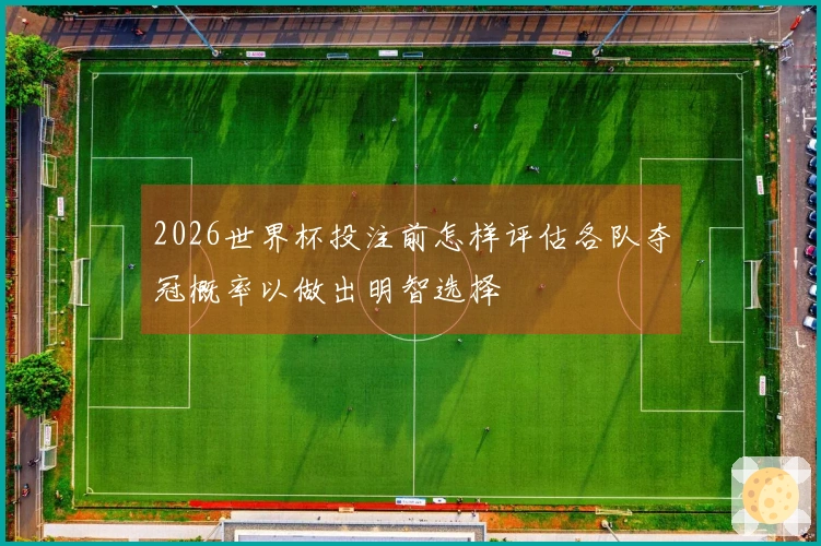 2026世界杯投注前怎样评估各队夺冠概率以做出明智选择