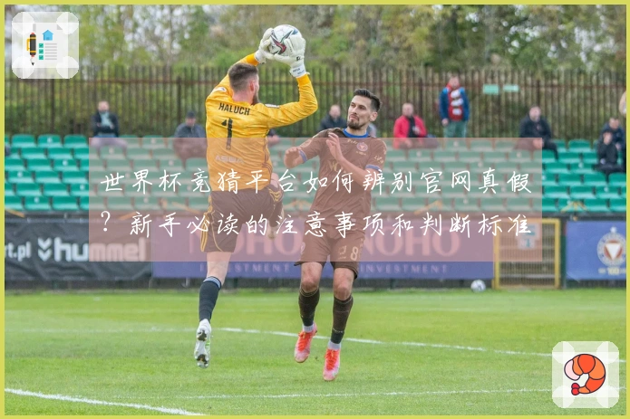 世界杯竞猜平台如何辨别官网真假？新手必读的注意事项和判断标准